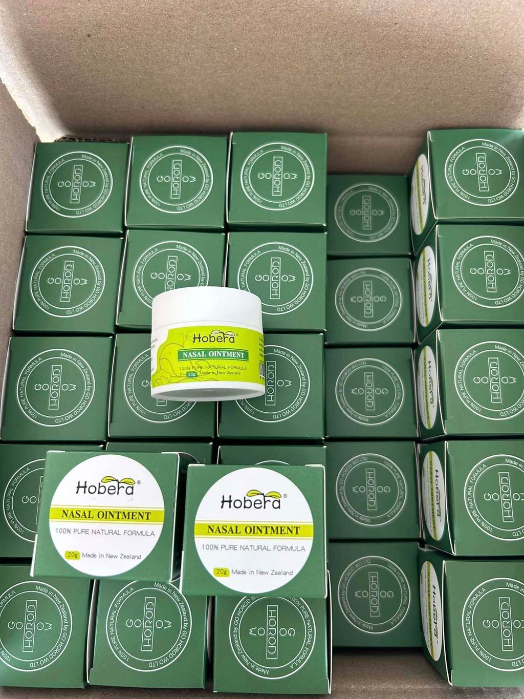 468635134_985460166936456_2934208338746697521_n