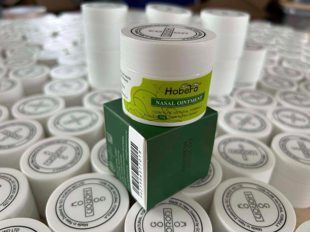 468576695_985460190269787_7343794559007751593_n