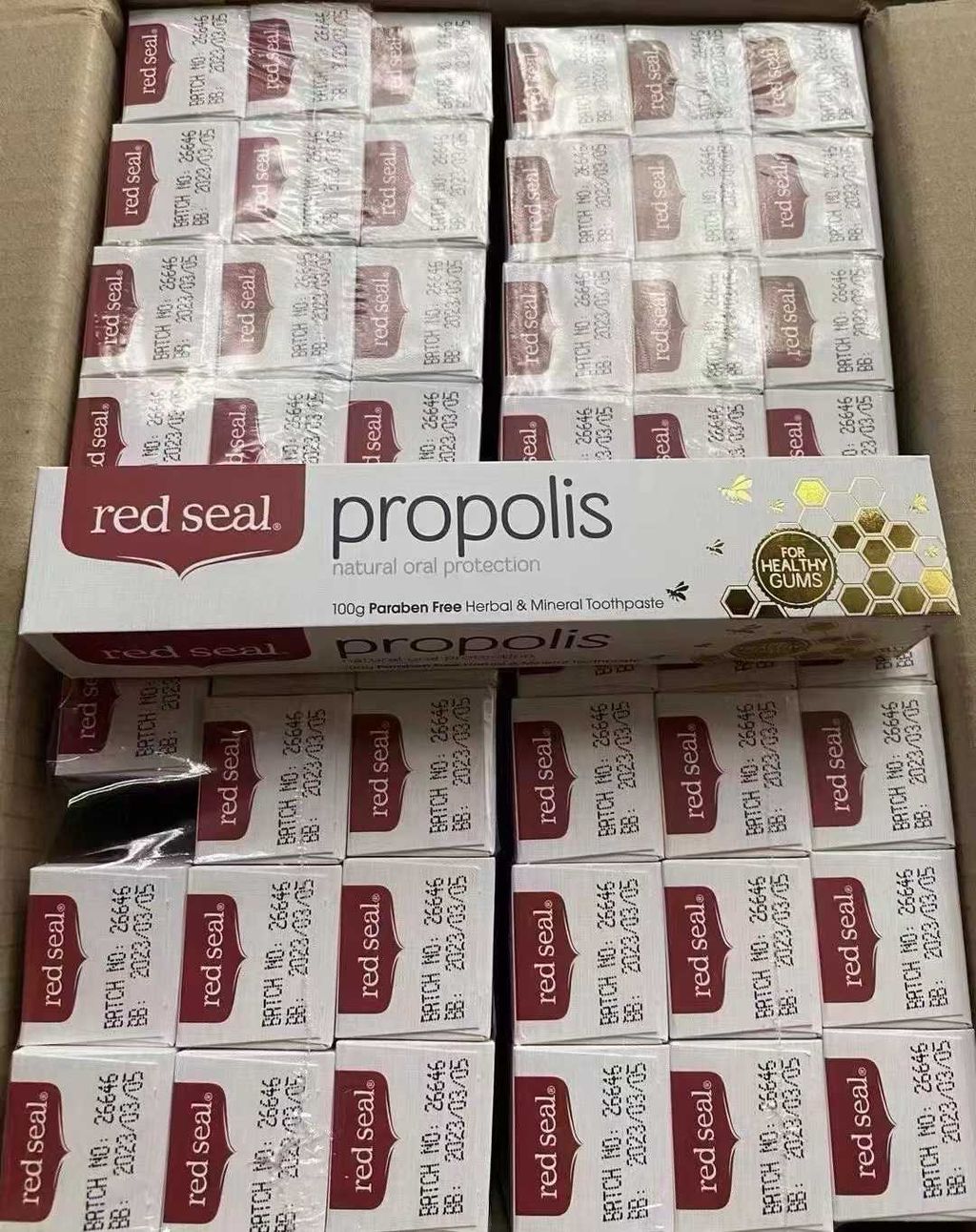 圖片_2026-01-15_122853_440