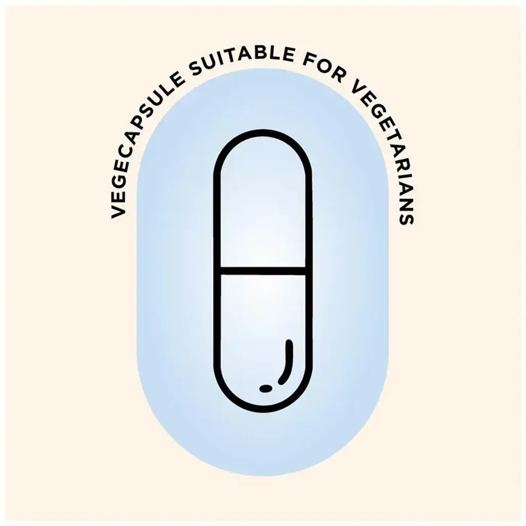 image_D13E3C52-BBB1-4405-9DE1-C95EA1984B0A_1768639282