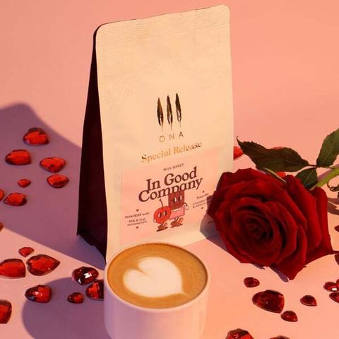 Gallery2-v1769144415287 (1)