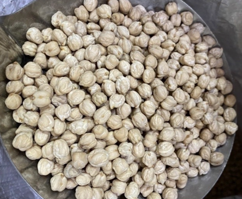 截圖 2023-07-04 上午11.29.15