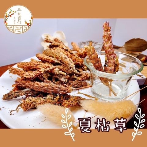 1c76a9e515fe4f3d3ac229e5a7ff8264