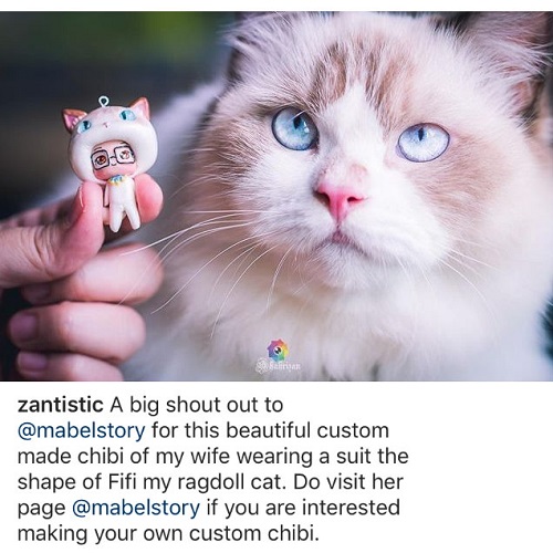 Mabel Story - Custom Cat Onesie