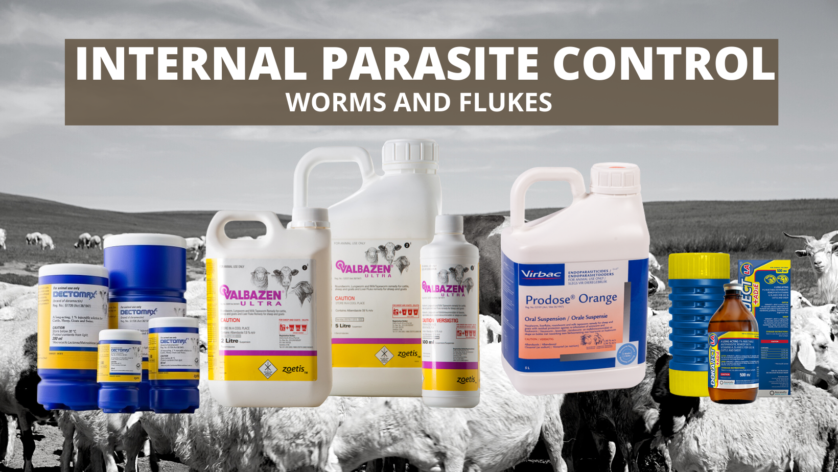 Internal Parasite Control For Goats ComVet Animal Health