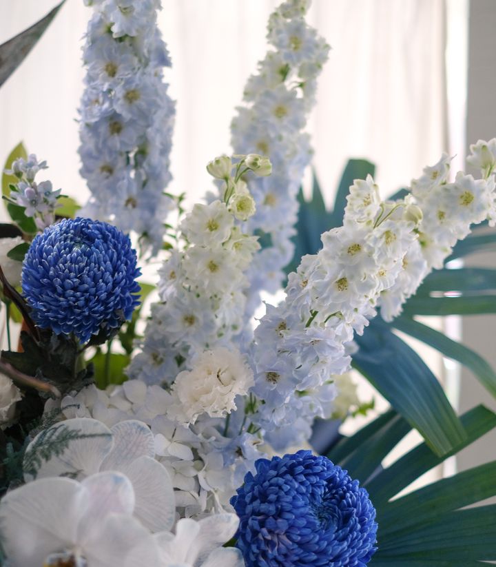 DSCF8380.jpg