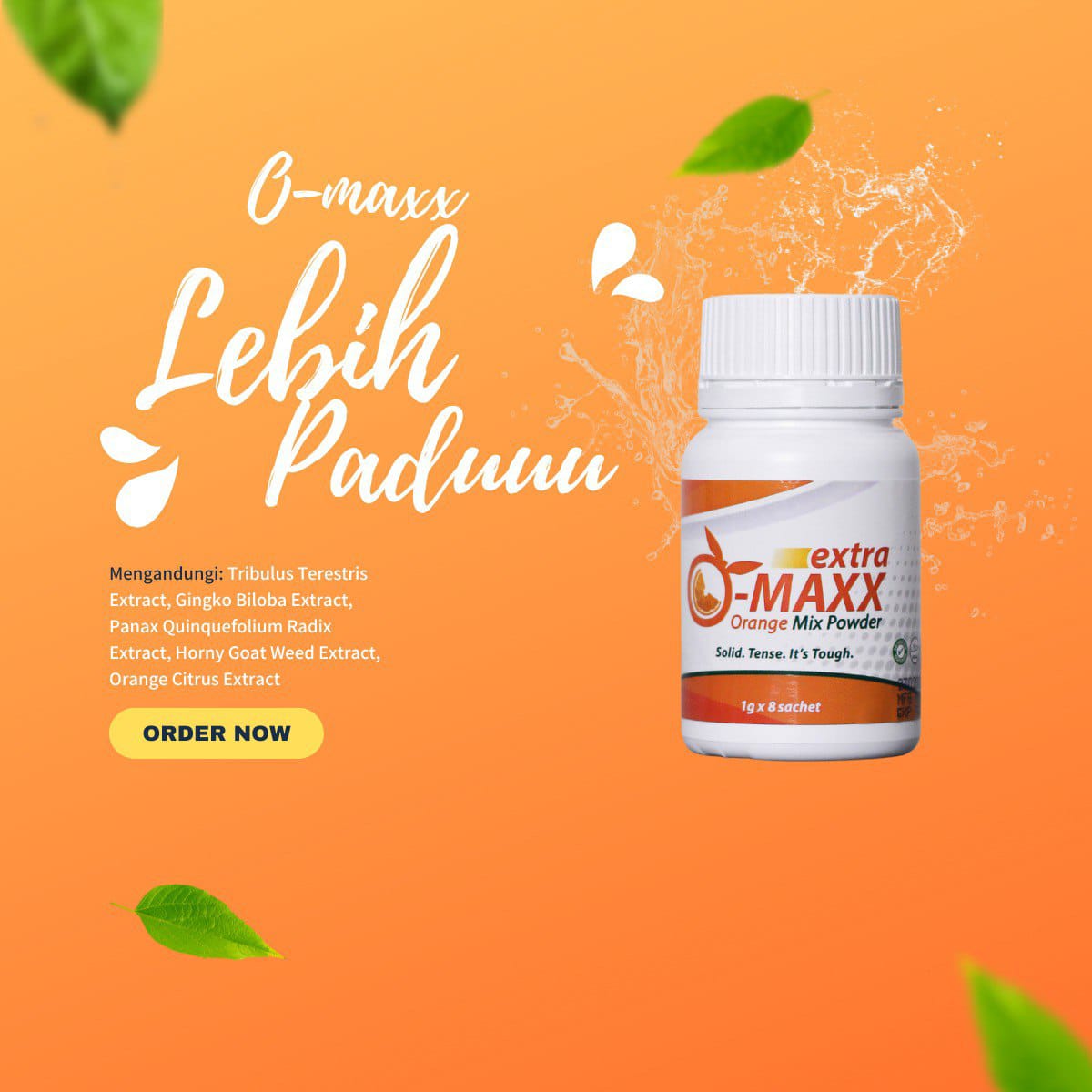 WhatsApp Image 2023-02-20 at 13.33.01-4