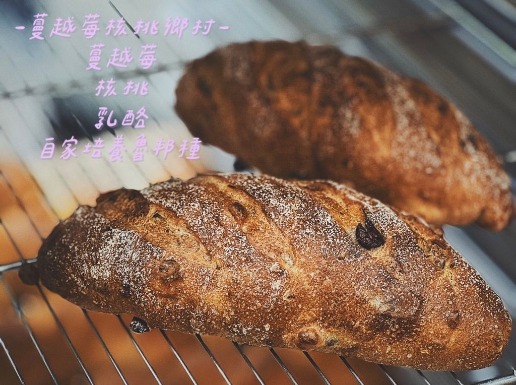 image_01ECCE08-126C-49E2-9638-2993FDAA5182_1767575345