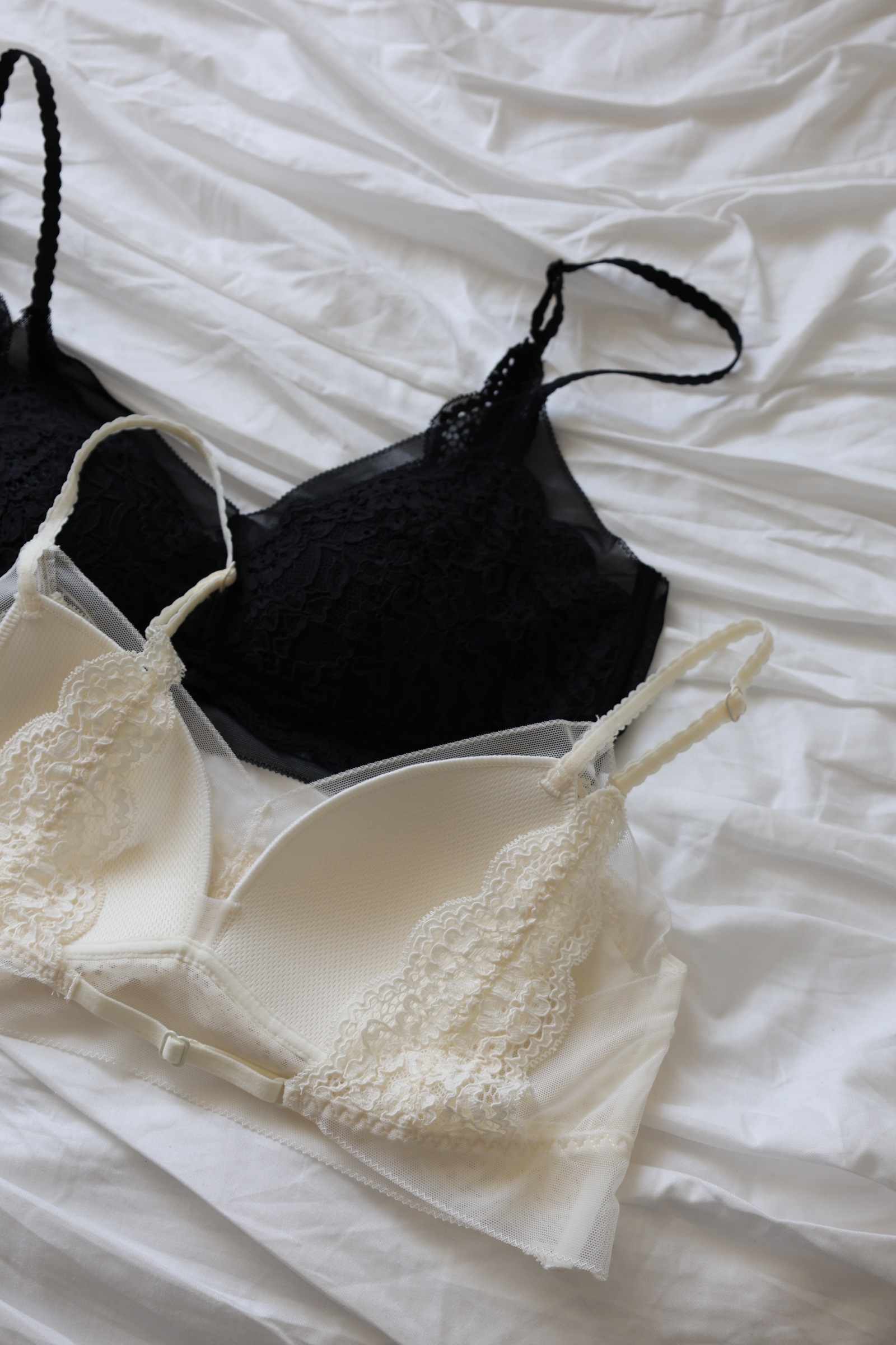 244262EB-99B2-4E2E-A284-B81B250EAF14