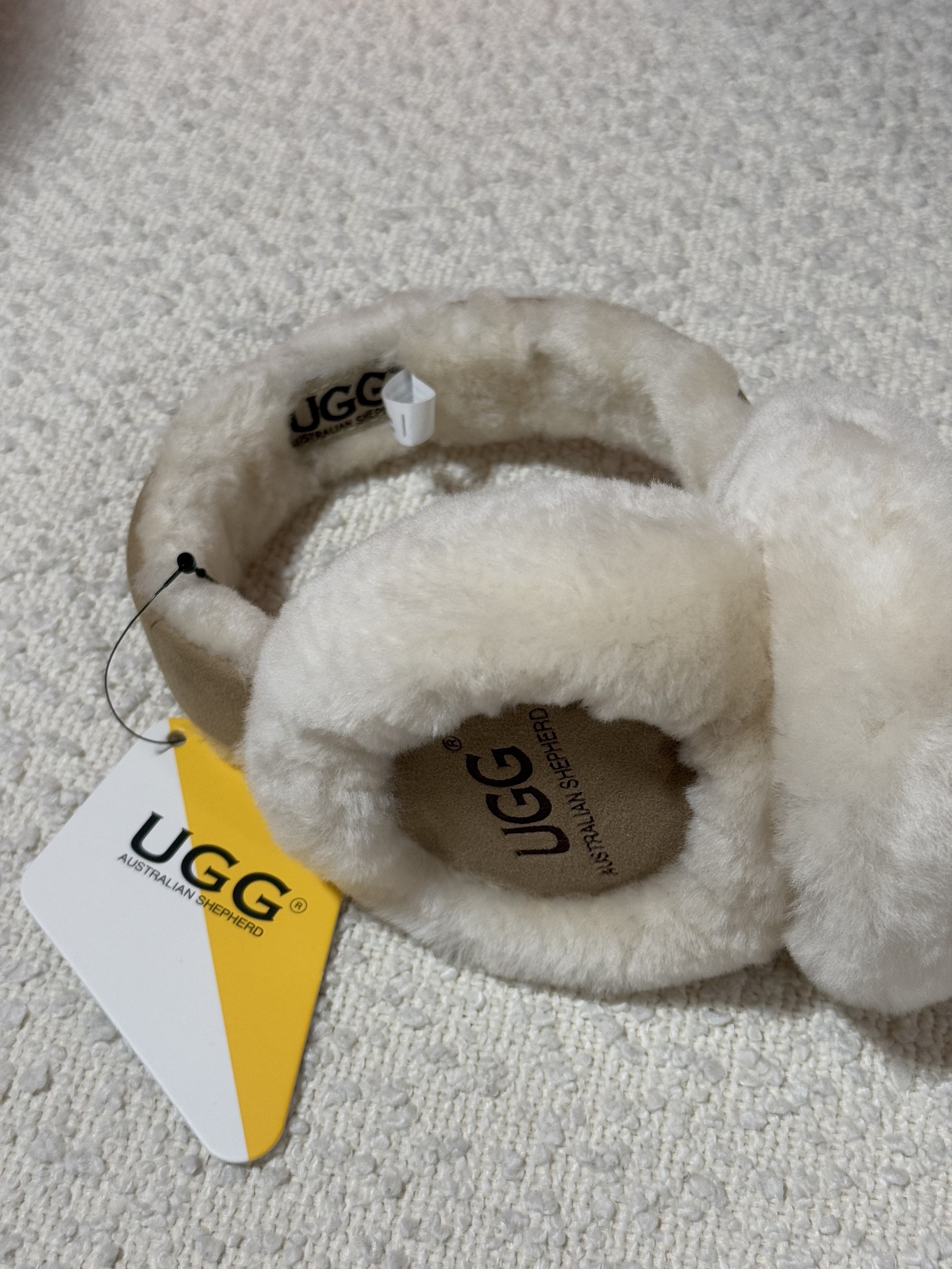 IMG_5758-1733075560653