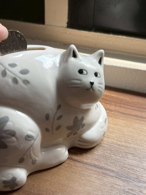 LINE_ALBUM_310新品_260403_164