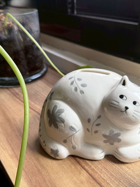 LINE_ALBUM_310新品_260403_162