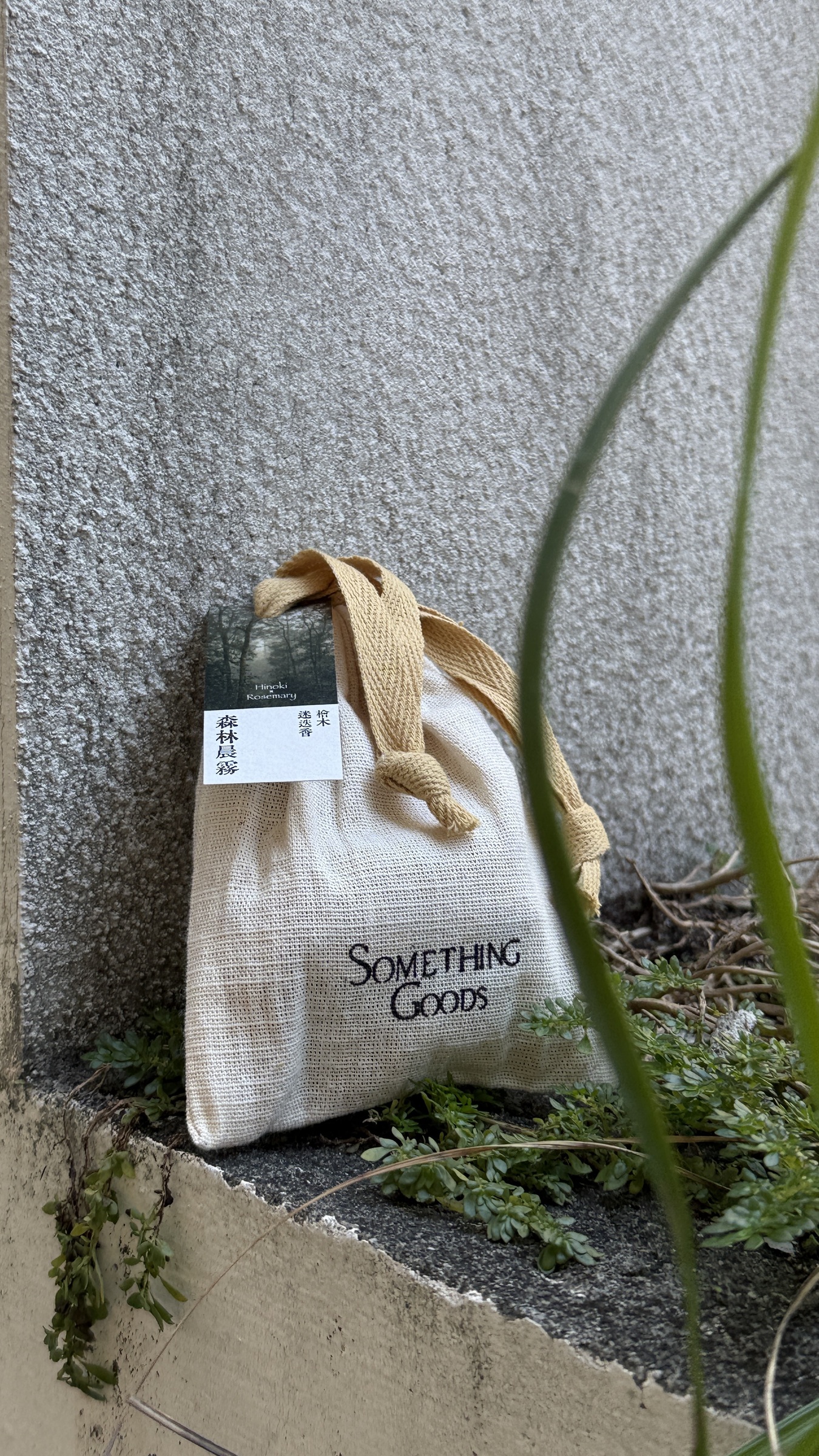 森林微風｜檜木x薰衣草