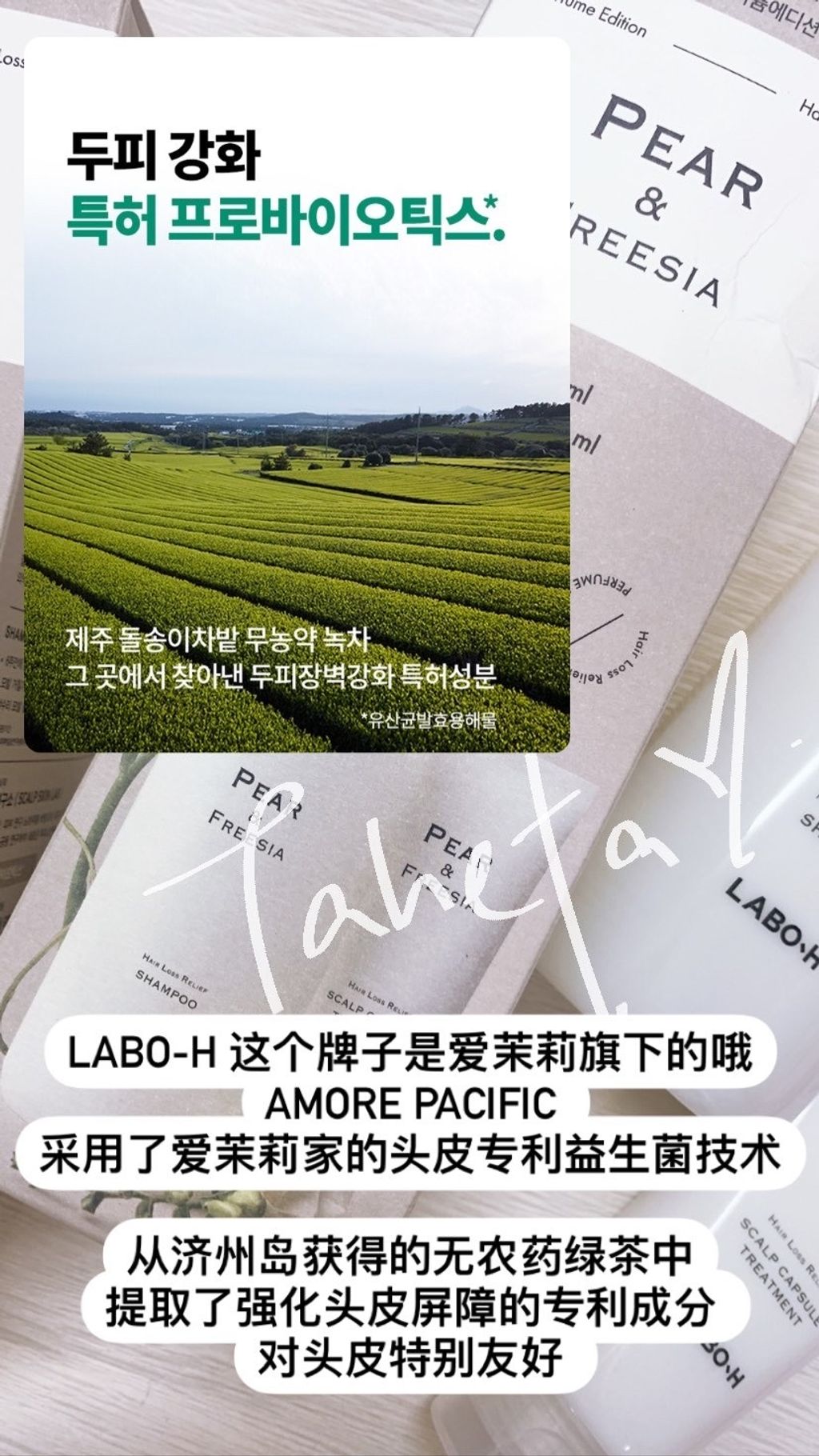 B62A33CE-07CE-4B56-8EB9-C6A24B1D7A13