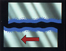 2257E0E2-1D13-4516-9633-303B73B09FB3.jpeg