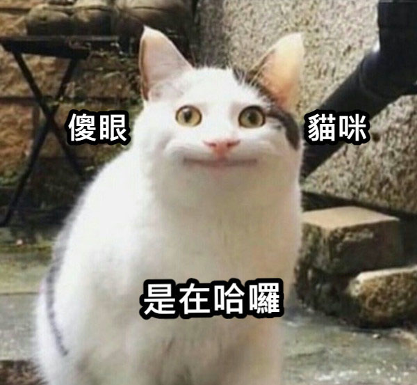 1649160772882