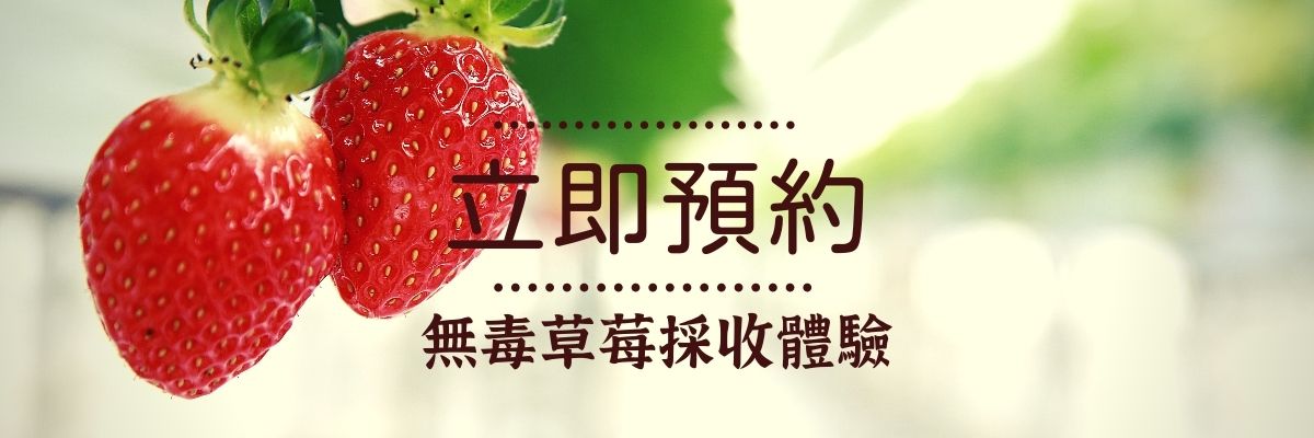 吉軒農場-採草莓(3).jpg