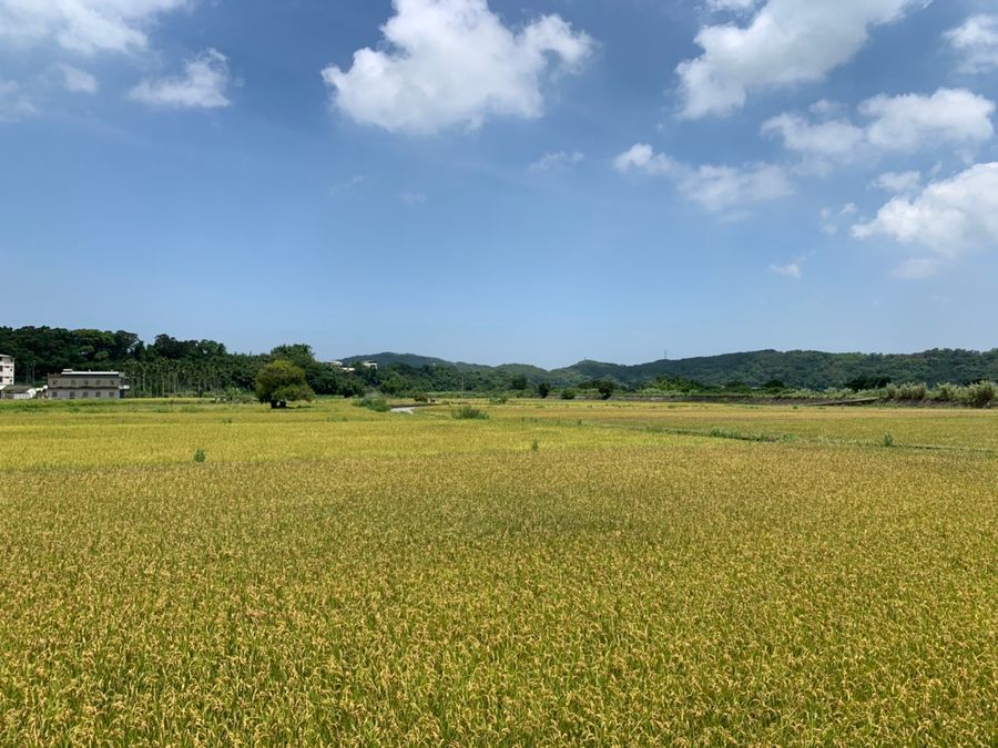 西湖有恁UNIQUE | 漫遊西湖．田園風光