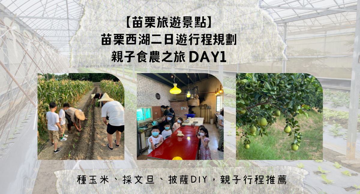 【苗栗旅遊景點】苗栗西湖二日遊行程規劃,親子食農之旅!DAY2│西湖老街文化巡禮、屋角咖啡烘豆體驗、環鄉小徑黃金路、溫室裡輕鬆採草莓
