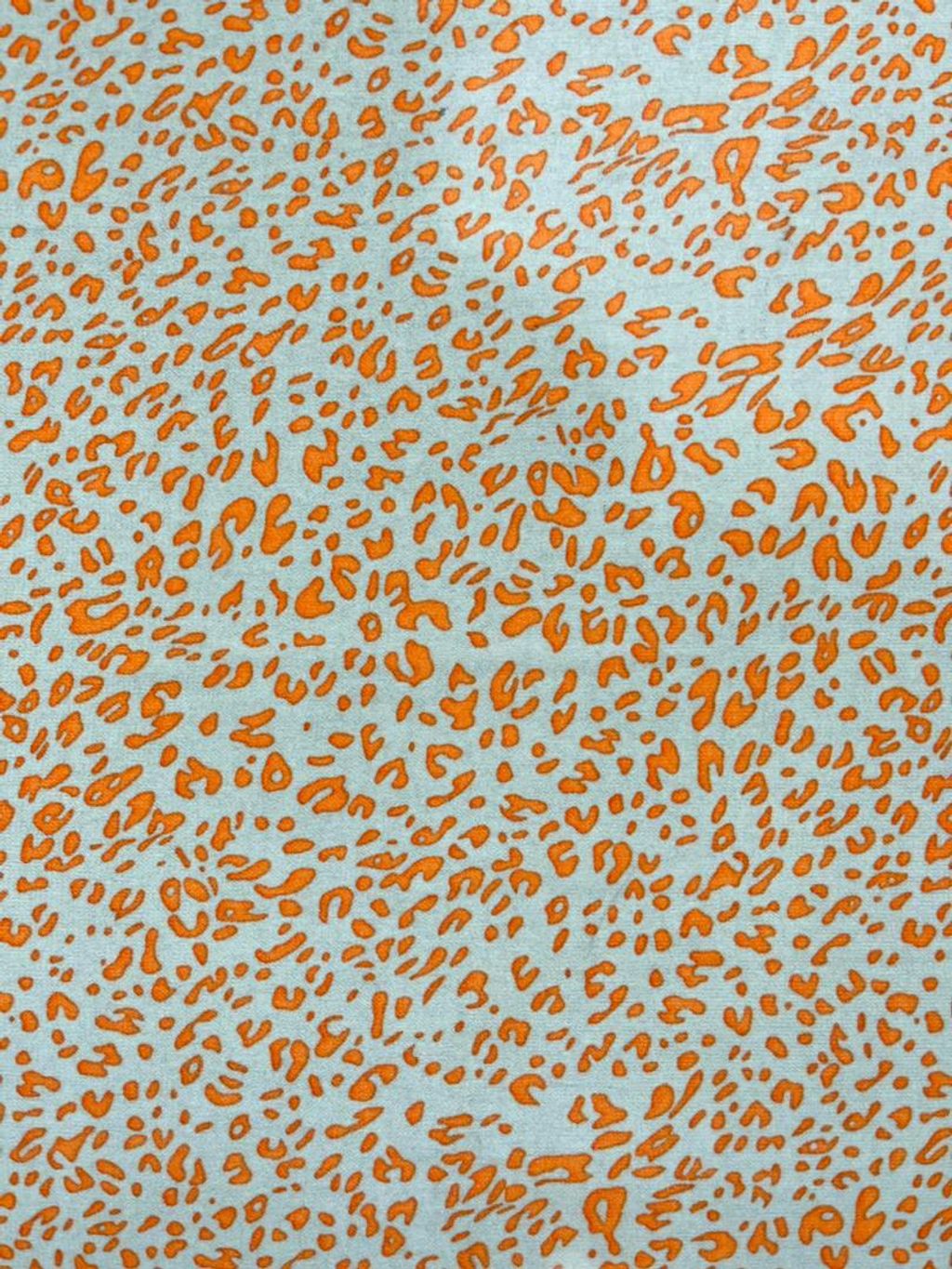 WhatsApp Image 2023-09-30 at 16.46.06