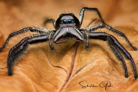 2b94680e12e2837765fe642f91472aa9 (1).jpg