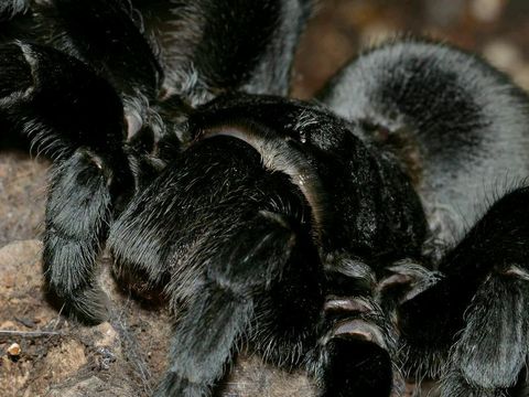 1584291088512_4 (1).jpg