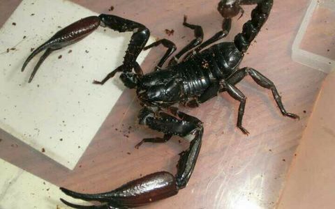 2353863e3444184870bbe568eb9109545b6a5d1e (2).jpg