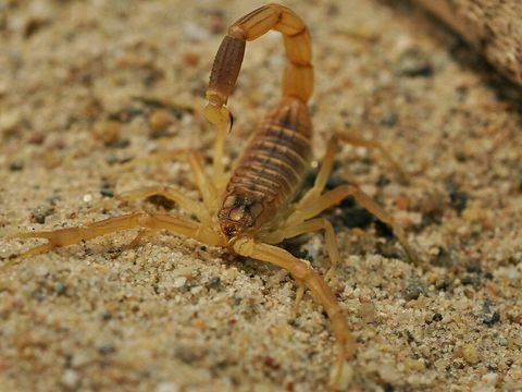 1574077925928_2 (1).jpg