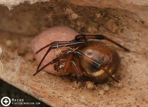 15872957282_aceae045bc_z (1).jpg