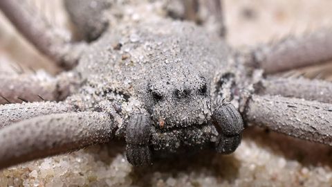 maxresdefault (1).jpg