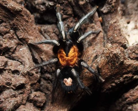 FB_IMG_1470694878613 (1).jpg