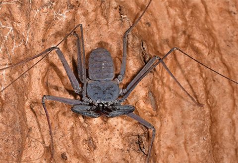 article_44656_cover_en_US