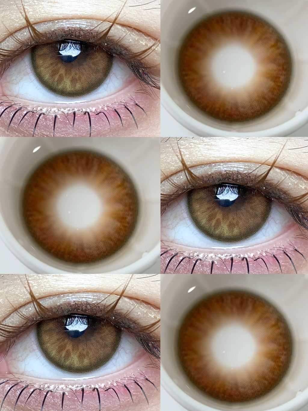 i1775538655803_9579_0_5