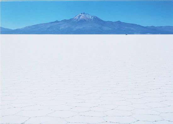 Discover | Milkbar Bookstore