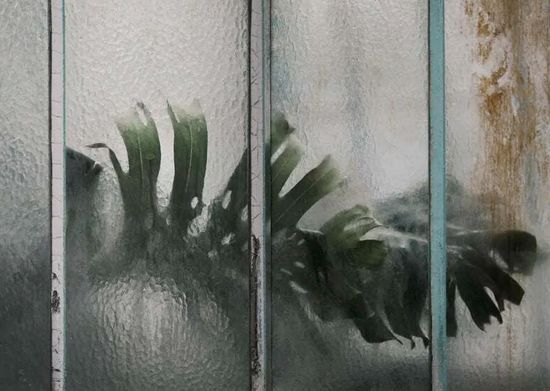 Secret Gardan | Milkbar Bookstore