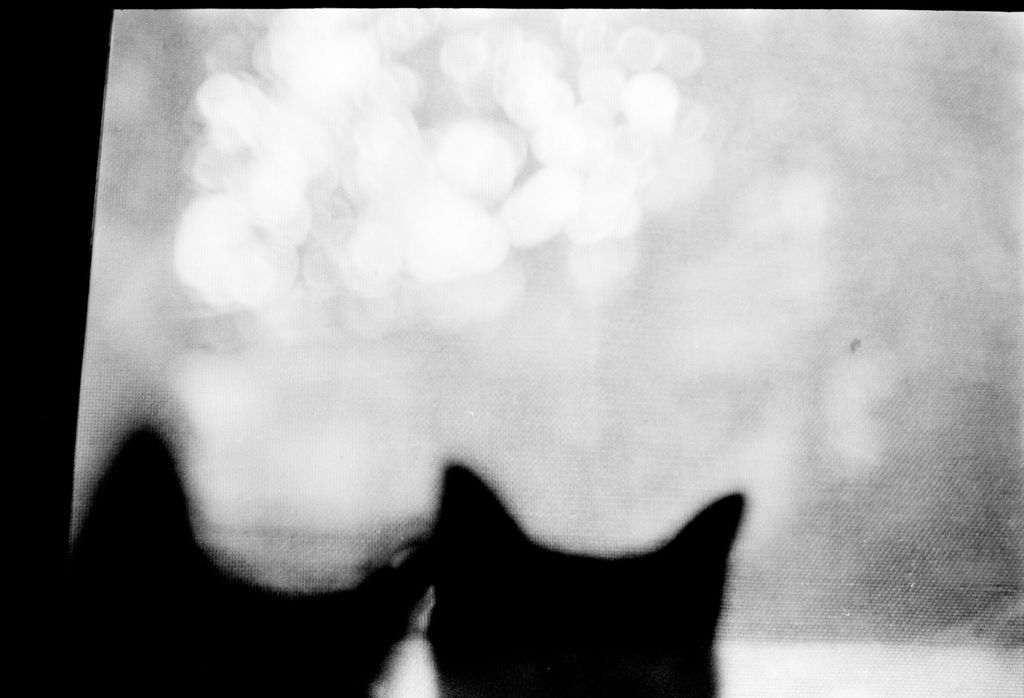 Two pairs, Chen-Pang Chang