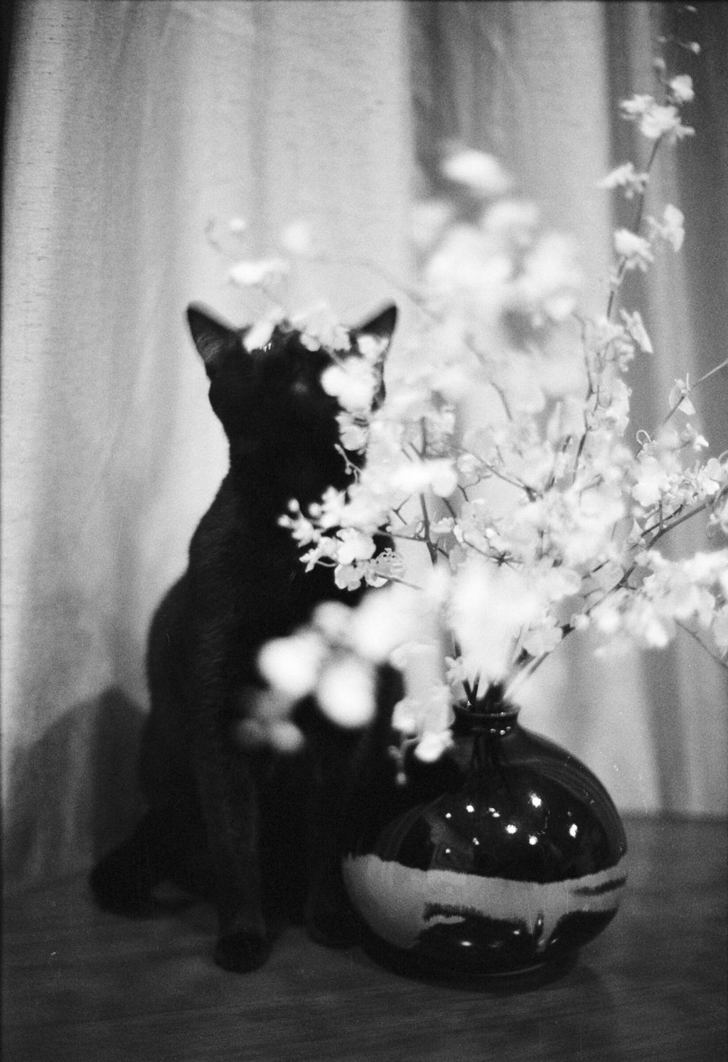 Wuji and the flower, Chen-Pang Chang