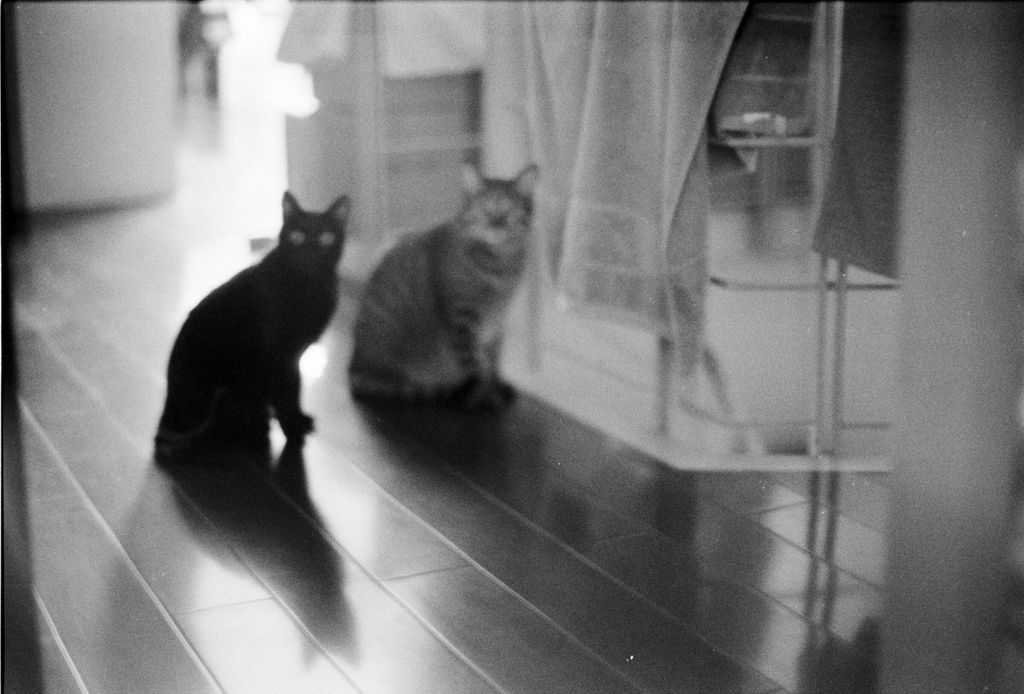 Out of focus, Chen-Pang Chang