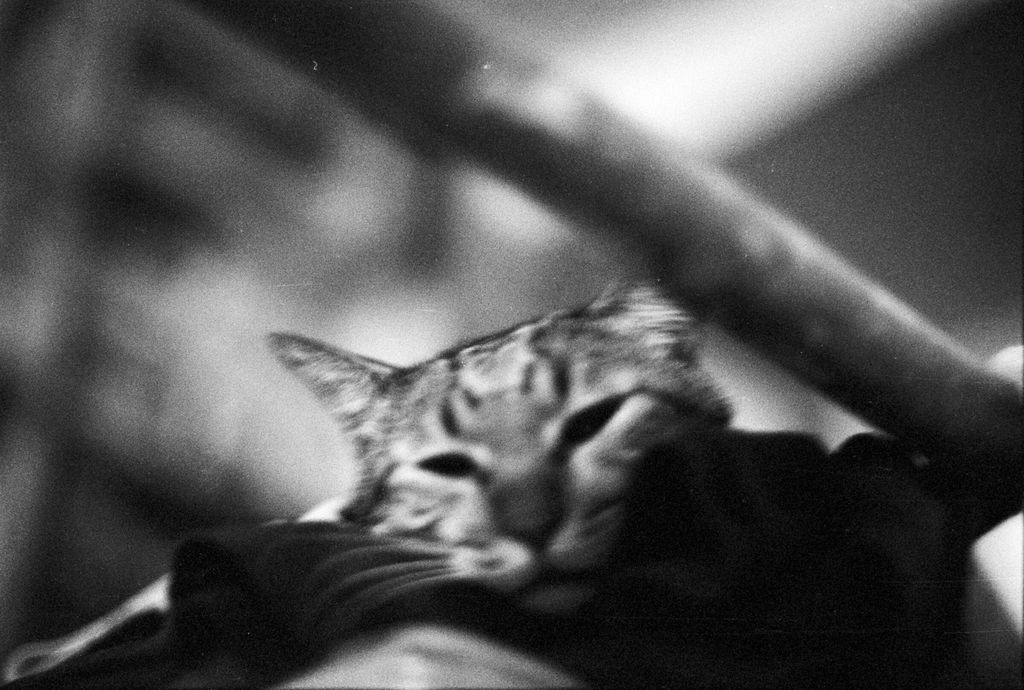 Awdy awake, Chen-Pang Chang