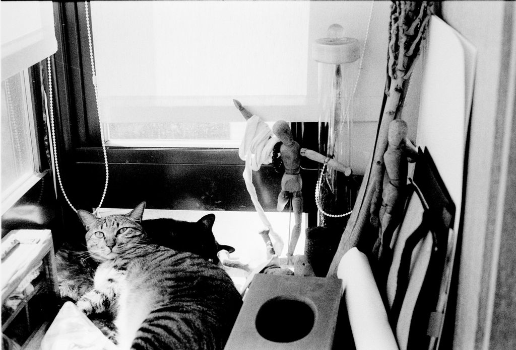 Awdy and Wuji by the window sill, Chen-Pang Chang