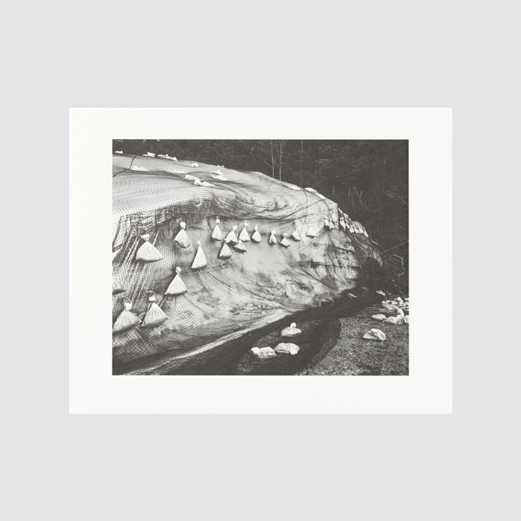 7_000000004582
