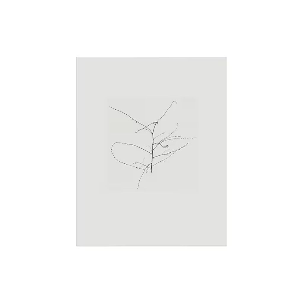 10_000000004308