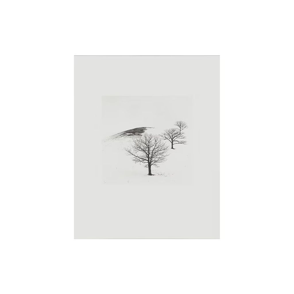 18_000000004308