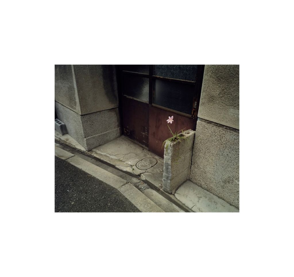 04_c86a1168-f181-4f5b-8e10-b522b0653a1c