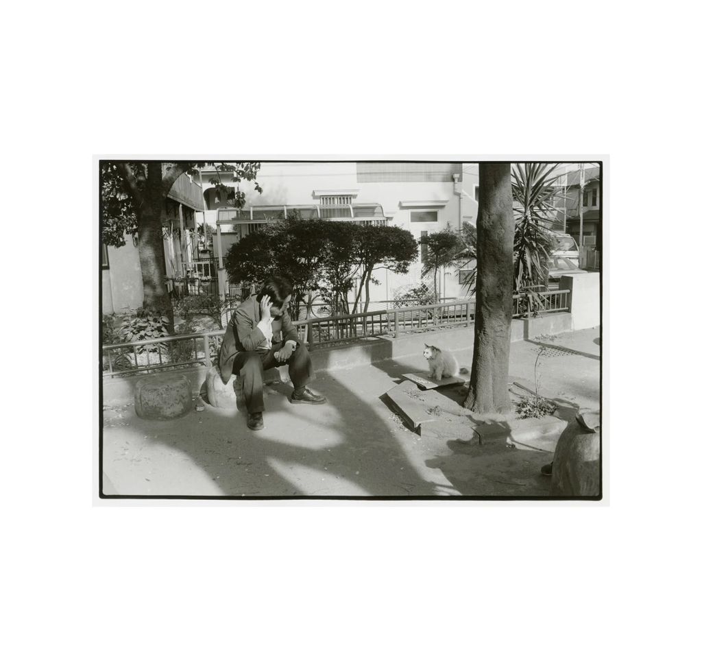 10_4d9d15ed-6843-49b7-ada0-beb46315eb22