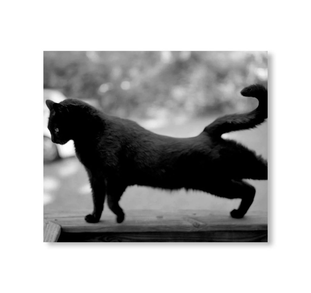 06_0aa544c0-f451-4549-b098-4aee6cfc0de4