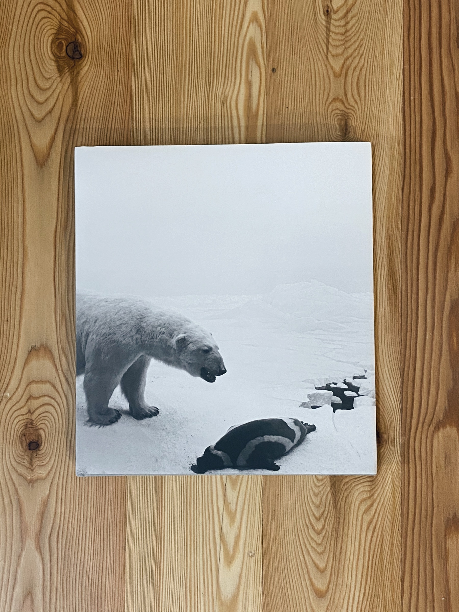 杉本博司 HIROSHI SUGIMOTO ポスター POLAR BEAR シロクマ 森美術館 