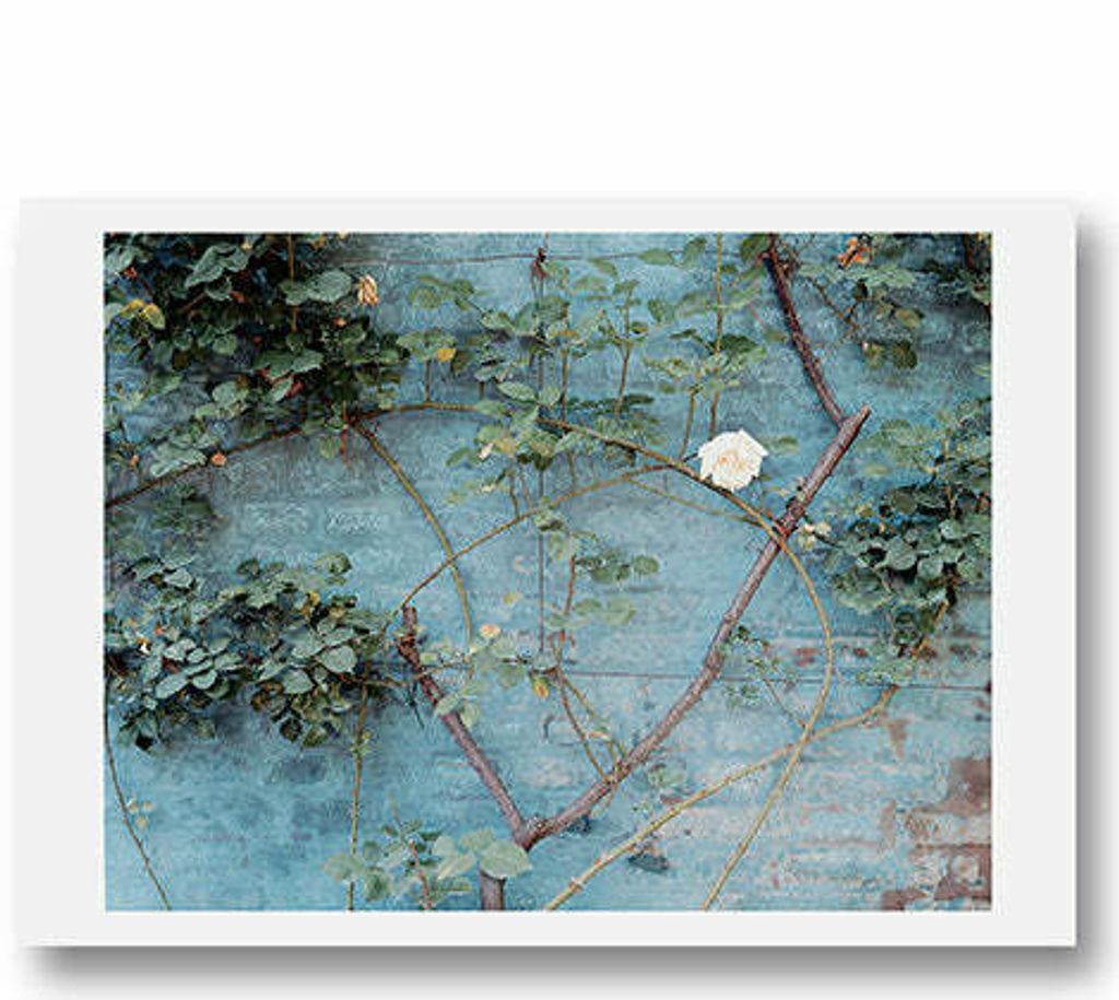 Ghirri-postcards-final-12_1600x.jpg