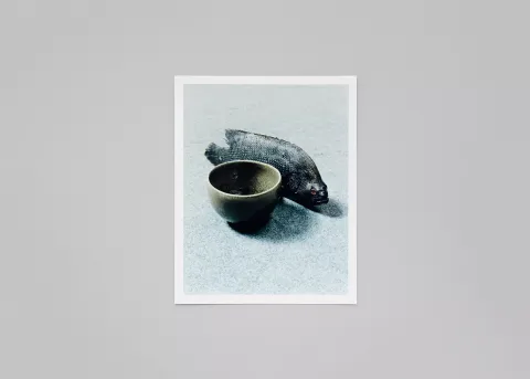 LM-Naohiro-Harada-Tokyo-Fishgraphs-2020-02
