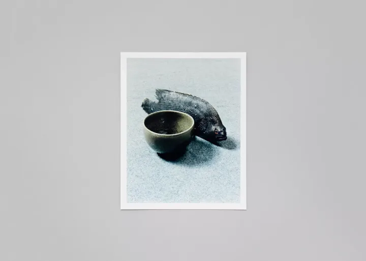 LM-Naohiro-Harada-Tokyo-Fishgraphs-2020-02